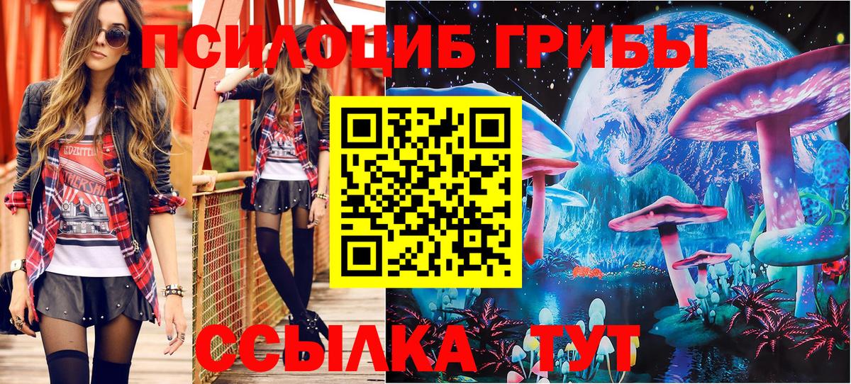 Дагестанские Огни  Псилоцибиновые грибы прущие грибы  Вход с VPN 